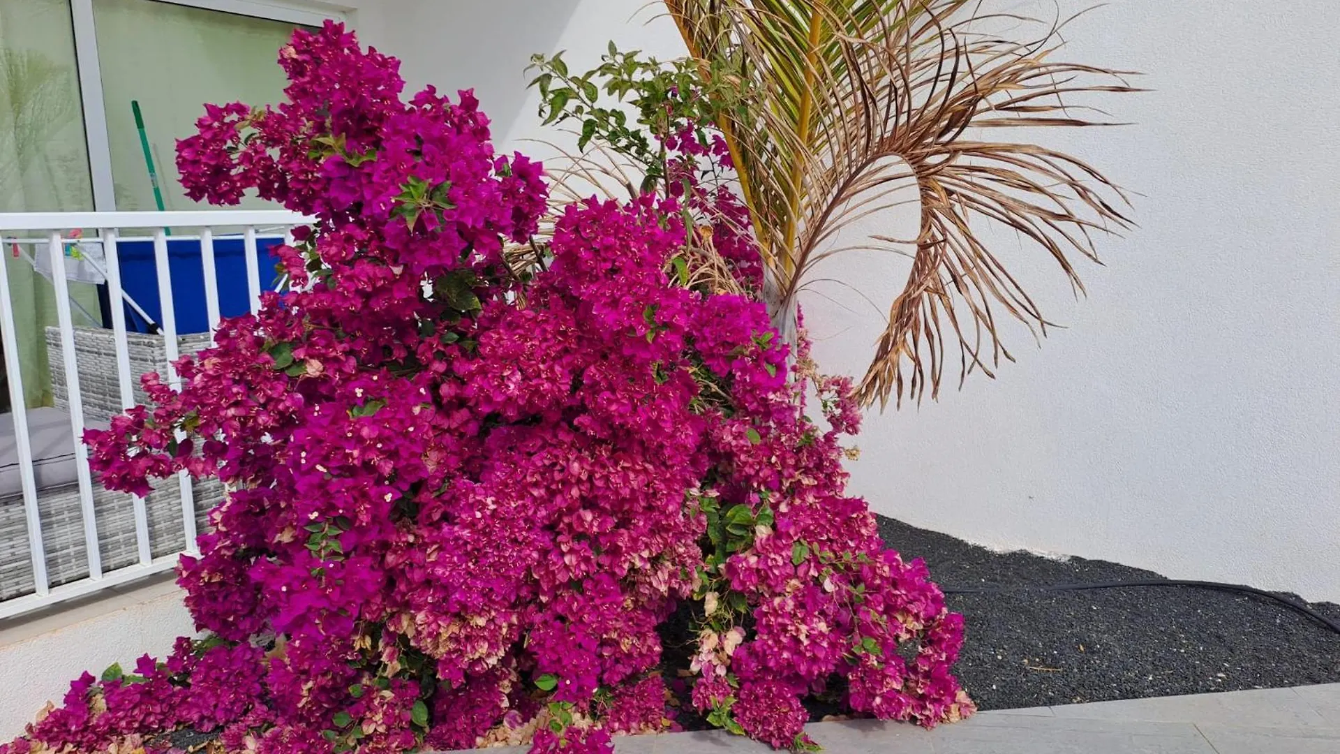 Luxury Sea View Senator Lanzarote Apartment Costa Teguise